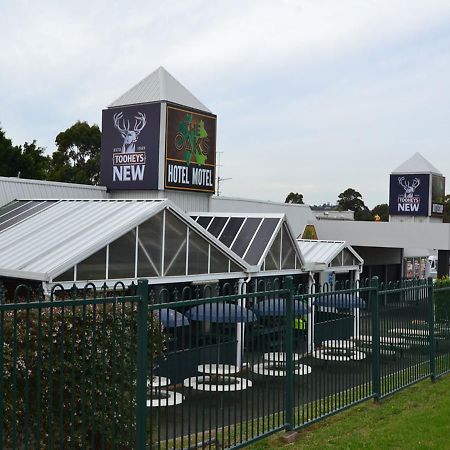 Albion Park The Oaks Hotel Motel מראה חיצוני תמונה